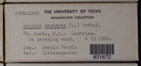 Image Associated With the Occurrence